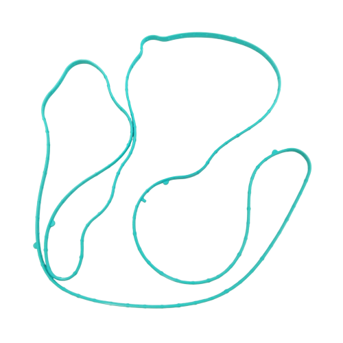 LSA Supercharger Housing Gasket