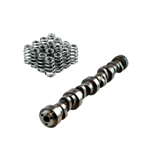 LS Cam 226/232  .608/.602  112 and 1511ML Valve Springs