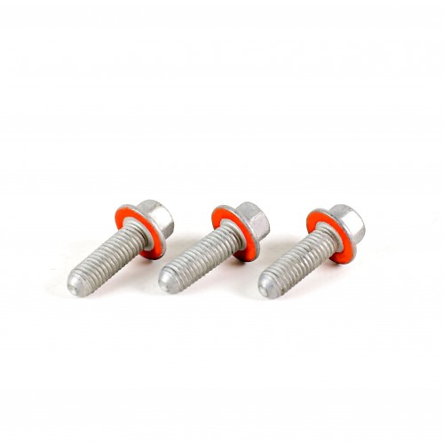 GM LS Cam Bolts