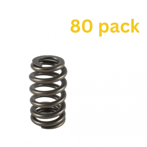 Holden V6 Ecotec Single Valve Springs - Bulk pack of 80