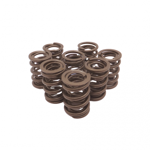 Single Valve Springs - Set of 8
