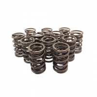 Race Dual Valve Springs - 6cyl