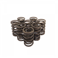 Race Dual Valve Springs