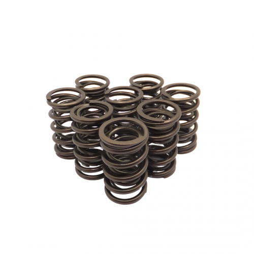 Race Dual Valve Springs