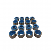 Hemi 6.4 Valve Stem Seal Set
