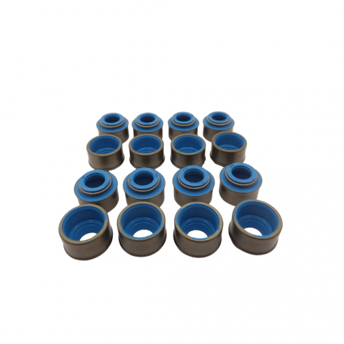 Hemi 6.4 Valve Stem Seal Set