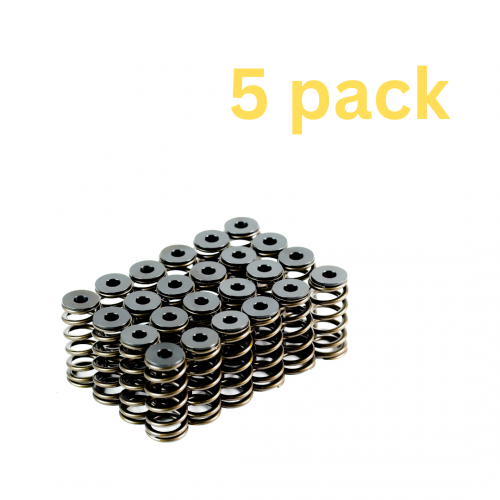 Ford Barra XR6 Spring Kit - Bulk Pack of 5