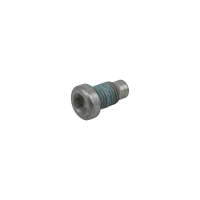 LS Cylinder Head Coolant Plug