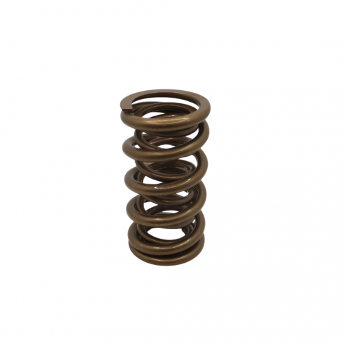Dual Valve Spring for Ecotec and LS - Single