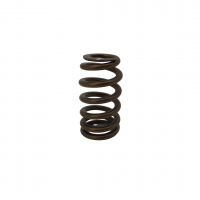Conical Valve Spring - Single