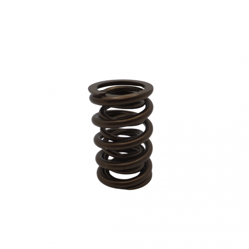 Dual Valve Springs for V8 Roller Applications - Single