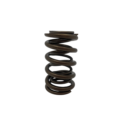 4334-1 Dual valve springs for Holden - single