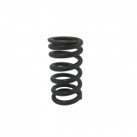 Performance Single Valve Spring