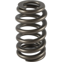 Holden V6 Ecotec Single Valve Springs - Single