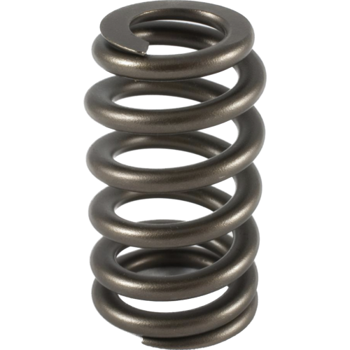 Holden V6 Ecotec Single Valve Springs - Single