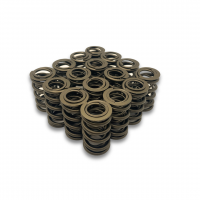 Dual Valve Springs - Set of 16