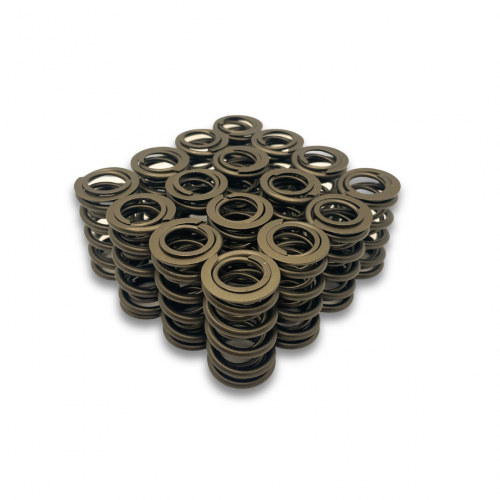 Dual Valve Springs - Set of 16