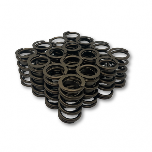Single Valve Springs With Damper - Set of 16