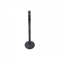 Ford Godzilla Exhaust Valve