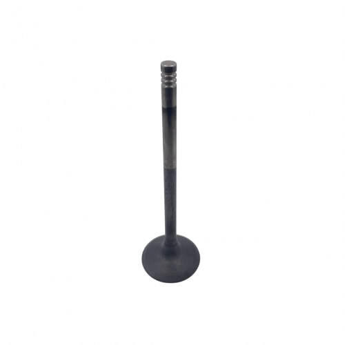 Ford Godzilla Exhaust Valve