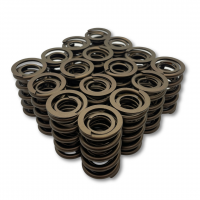 PAC Dual Performance Springs