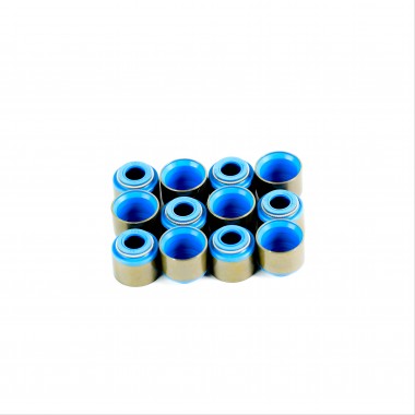 Stem Seals