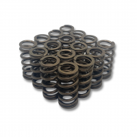 FG 315kw Beehive Valve Springs - Set of 16 for Inlet