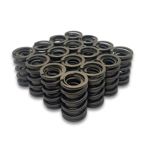 Dual valve spring for Big Block Chev