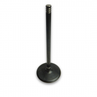 Ford Godzilla Standard Intake Valve