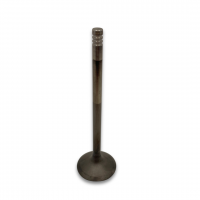 Ford Godzilla Exhaust Valve