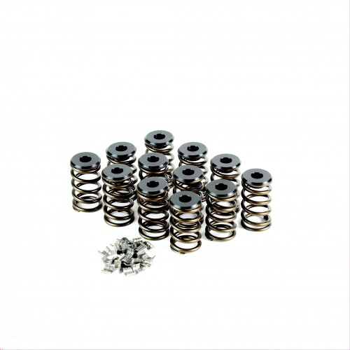Holden 6cyl Valve Spring Kit