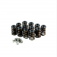 Holden 6cyl Valve Spring Kit