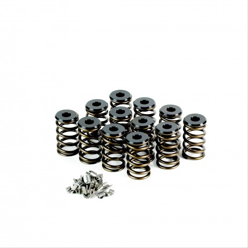 Holden 6cyl Valve Spring Kit