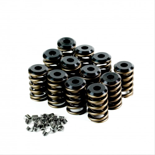 Ford Crossflow Valve Spring Kit
