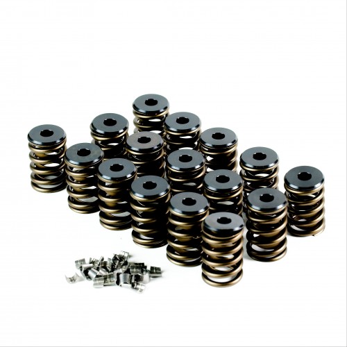 Ford Windsor V8 Valve Spring Kit