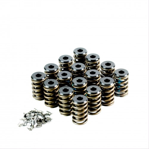 Small Block Chev<br>Valve Spring Kit
