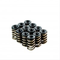Ford Falcon AUII 6cyl Single Spring Kit