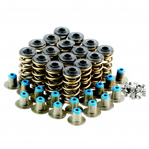LS Dual Valve Spring Kit