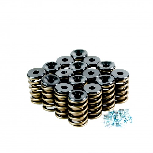 Ford Windsor EB-AUII EFI Valve Spring Kit