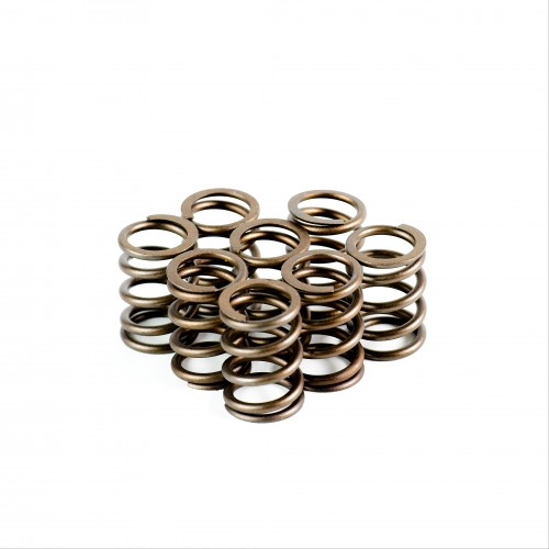 Single Valve Springs - Set of 8