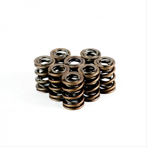 Dual Race Springs - Set of 8