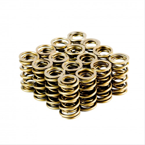 Dual Valve Springs