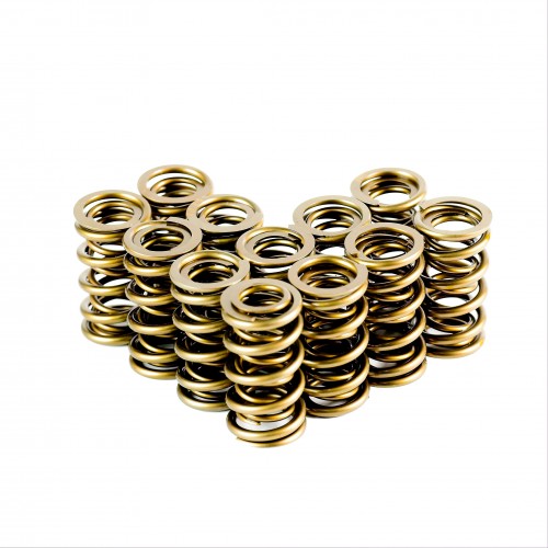Dual Valve Springs