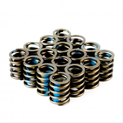 Single Valve Spring with Damper