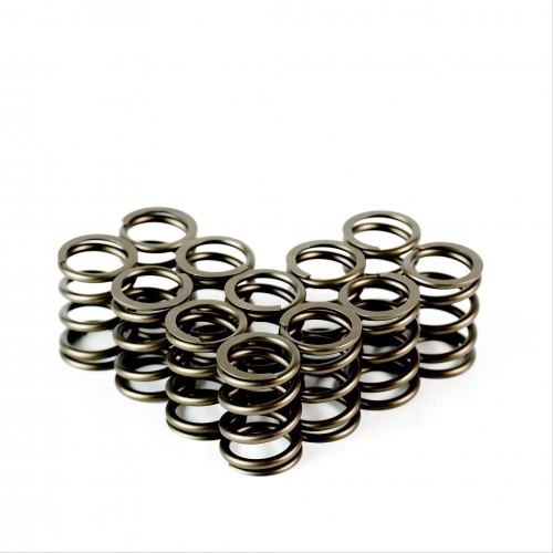Single Valve Springs - Set of 12
