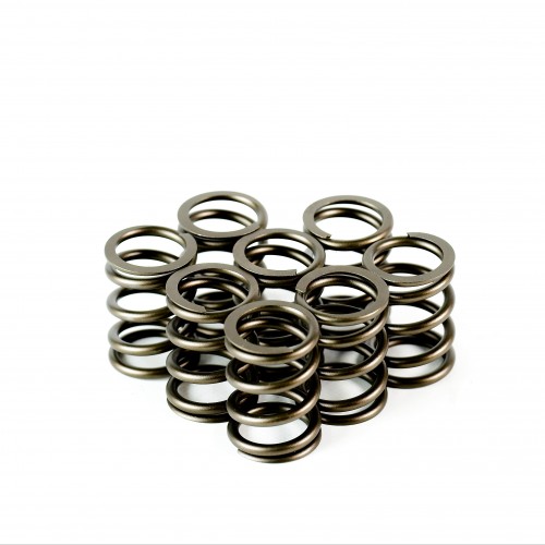 Single Valve Springs - Set of 8