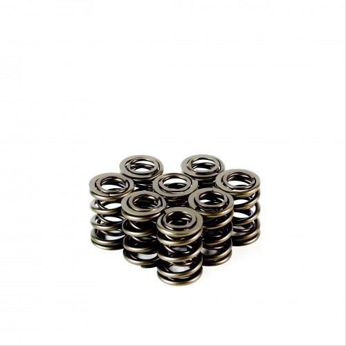 Dual Valve Springs - 4cyl applications