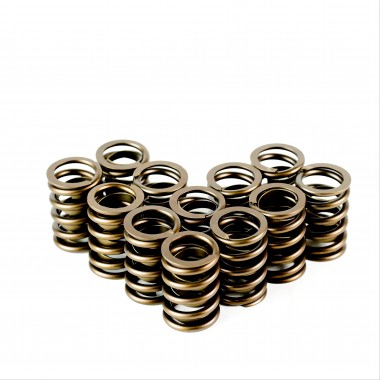 Valve Springs