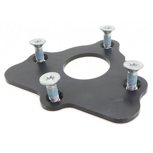 LS Cam Retaining Plate Kit