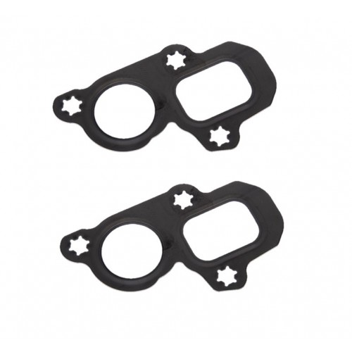 Gen V LT Water Pump Gaskets